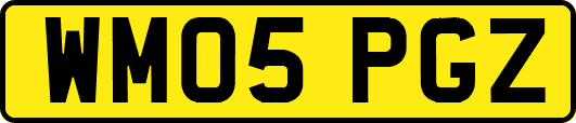 WM05PGZ