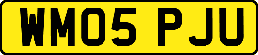WM05PJU
