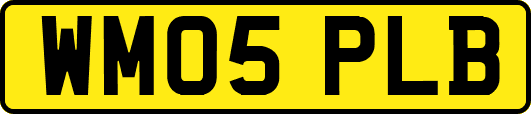 WM05PLB
