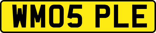 WM05PLE