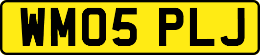 WM05PLJ