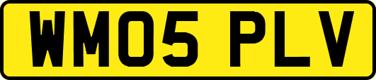 WM05PLV