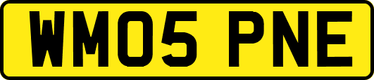 WM05PNE