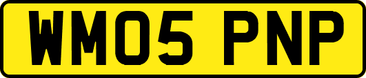 WM05PNP