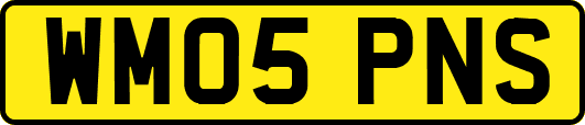 WM05PNS