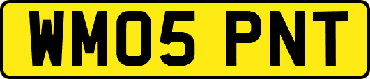 WM05PNT