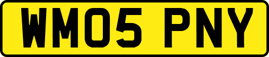 WM05PNY