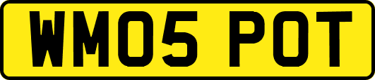 WM05POT