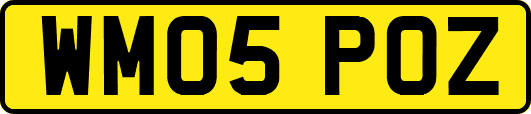 WM05POZ