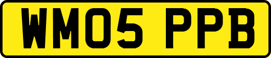 WM05PPB