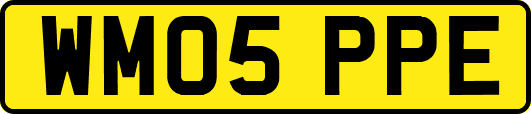 WM05PPE