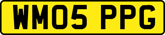 WM05PPG