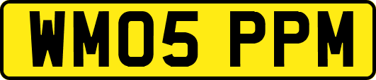 WM05PPM