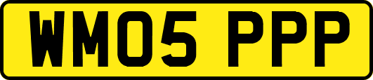 WM05PPP