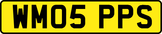 WM05PPS