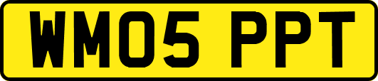 WM05PPT