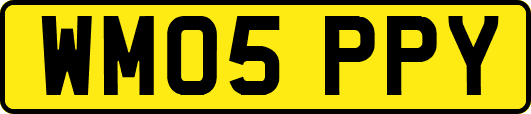 WM05PPY