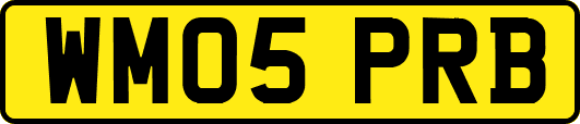 WM05PRB