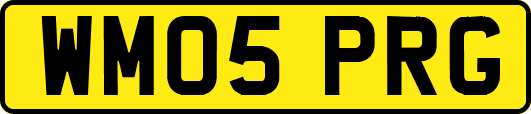 WM05PRG