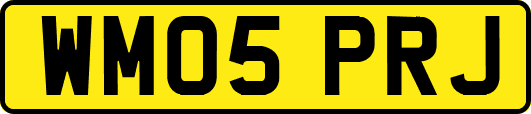 WM05PRJ