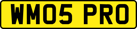 WM05PRO