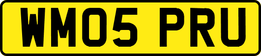 WM05PRU