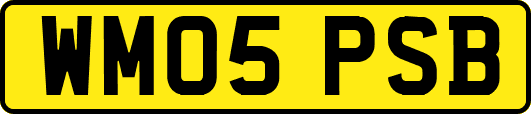WM05PSB