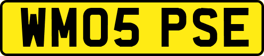 WM05PSE