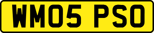 WM05PSO