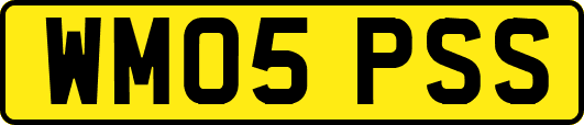 WM05PSS