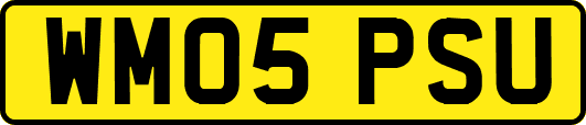 WM05PSU