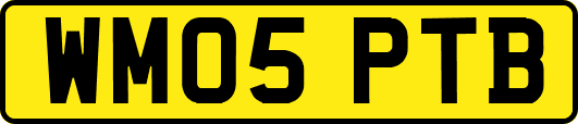 WM05PTB