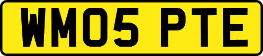 WM05PTE