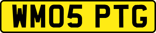 WM05PTG