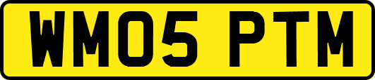 WM05PTM
