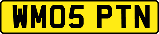 WM05PTN