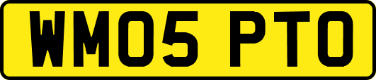 WM05PTO