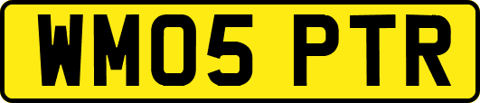 WM05PTR
