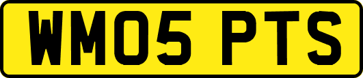 WM05PTS