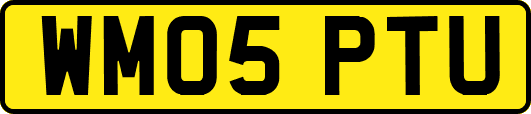 WM05PTU