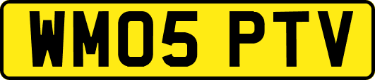 WM05PTV