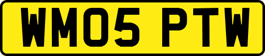 WM05PTW