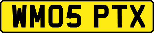 WM05PTX