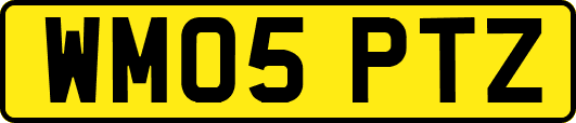 WM05PTZ