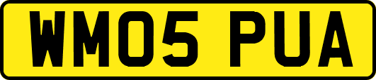 WM05PUA