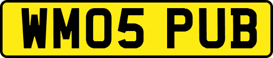 WM05PUB