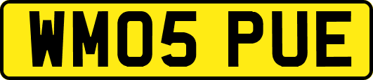 WM05PUE