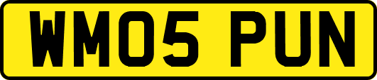 WM05PUN