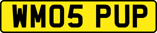 WM05PUP