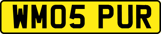 WM05PUR